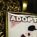 Adopt - Street Dogs Photo Pendant Necklace - 28in Chain