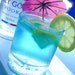 Loose Goose Juice Print