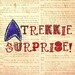 Star Trek Inspired Surprise Package - Large Trekkie Present in Natural Muslin Gift Bag, Sci Fi Goodie Bag by Bohemian Bear on Etsy.