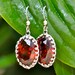 Embedded Garnet filigree earrings