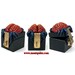 Meatspider Brain Horror Dice, Jewelry, Keepsake, Box