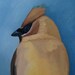 Mini Bird Painting. Cedar Waxwing.