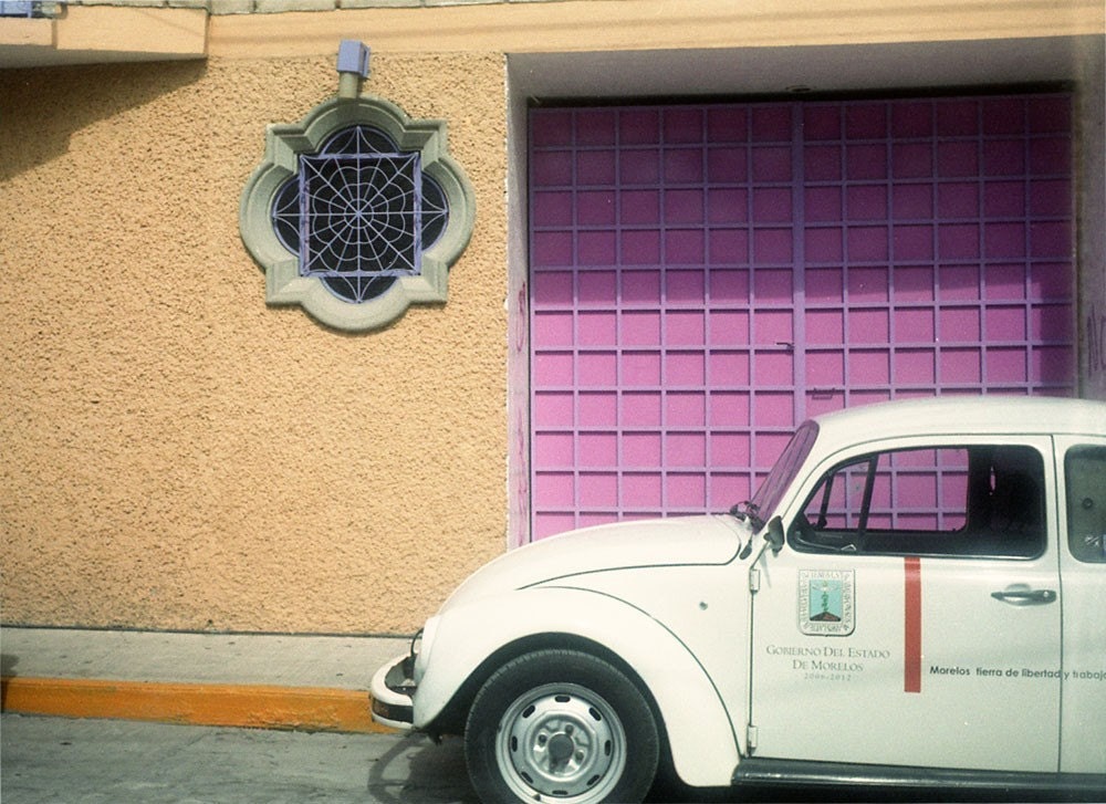 Color Bug - Mexico Beetle Lomography - 8x10 Photograph