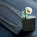 All Natural Wood Pendant Vase Necklace