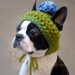 Size XSMALL Blue Blossom Dog Hat with String Tie