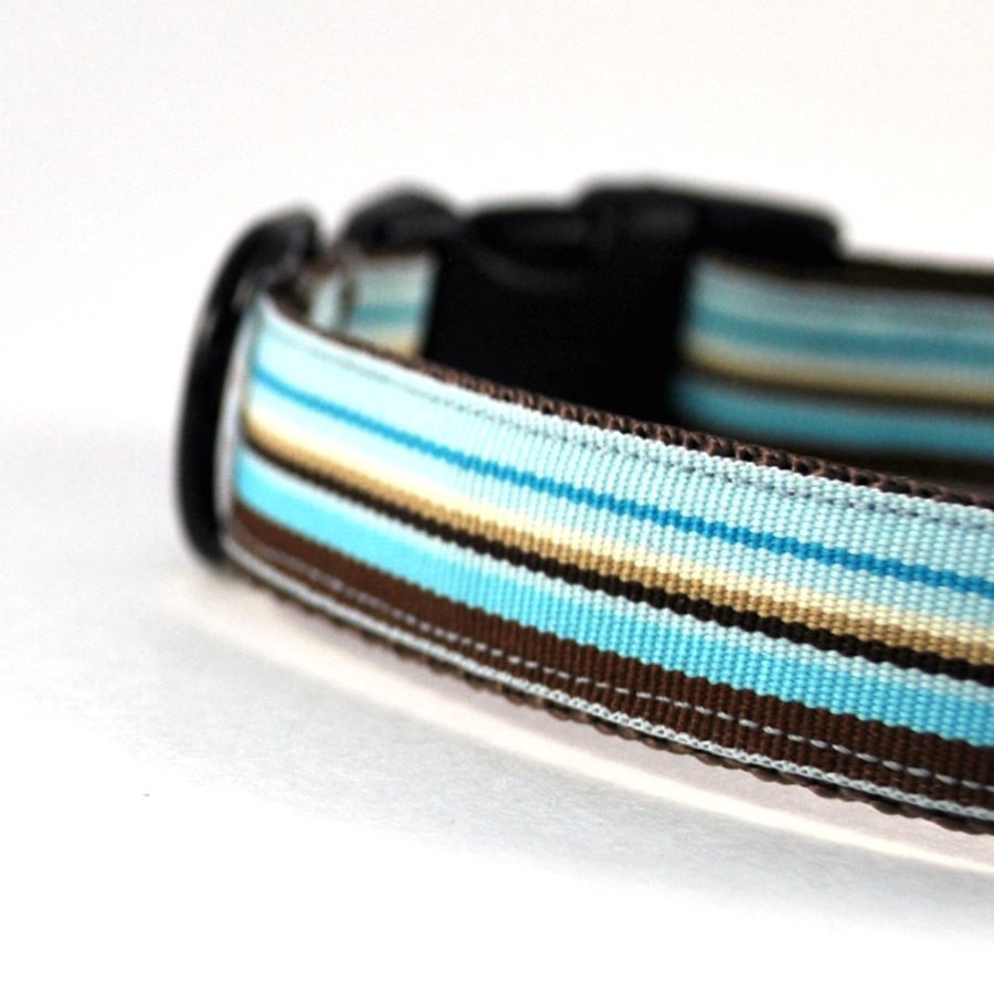 Ocean Park 3/4 Inch Dog Collar SM