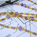 Purple and Yellow Eye Glass Holder Chain