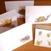 Snail Mail Set