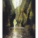 Oneonta Gorge - Archival Print