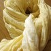 You Are My Sunshine Naturally Dyed Lemon Yellow Womens Lightweight Square Cotton Summer Scarf Wrap