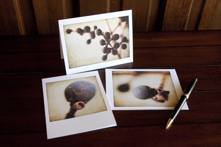 Berries, Box Set of 12 Blank Greeting Cards