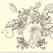 Rooted Heart