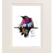 Wine Throated Hummingbird