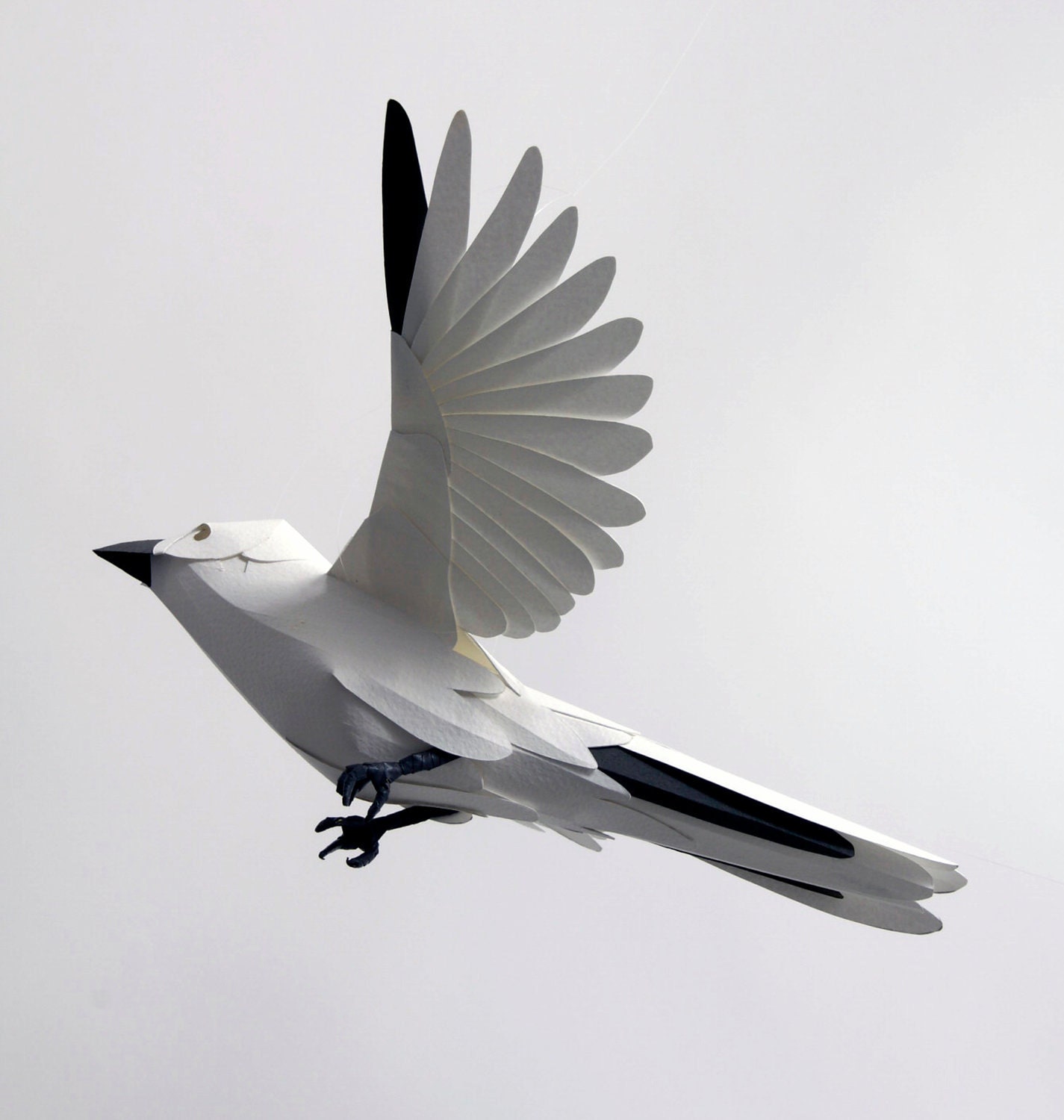 White Paper Finch