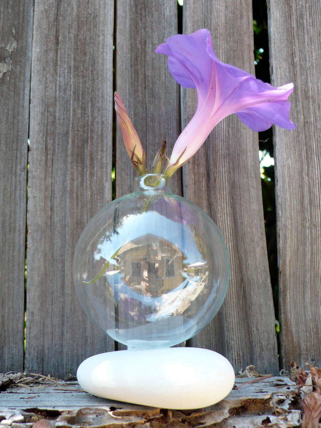 Bud Vase on Marshmallow Sea Stone