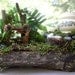 Woodland Fairy Chair and Trinket Box