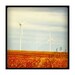 Windmills on the Wind Farm 5x5 Metallic Photograph - iPhone Photography