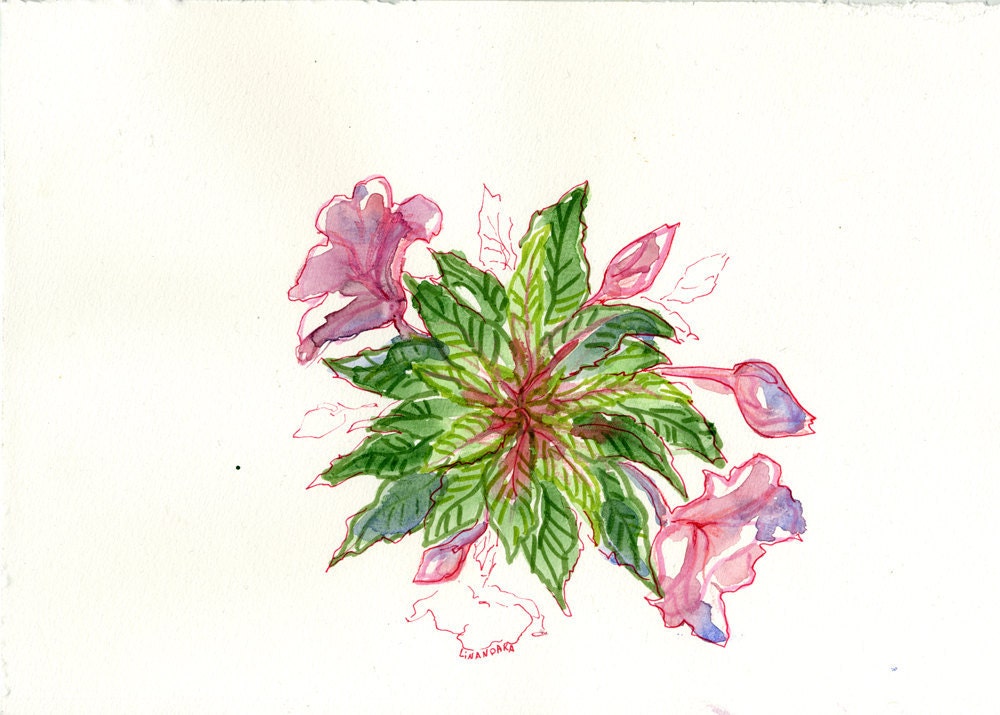 Balsam Bouquet - an original floral artwork