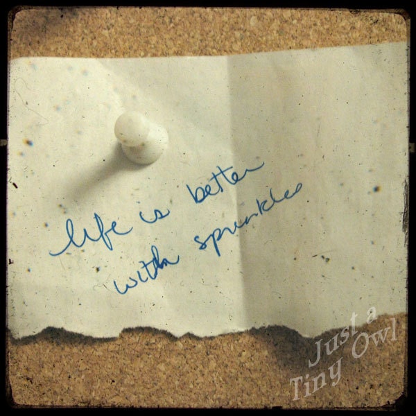Life is Better with Sprinkles - TTV Photograph - 8x8 Metallic Print