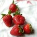 A Burst of Strawberry Red- Fine Art Print- 8x12
