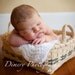 Newborn Photography Prop Basket - Catalog Catcher