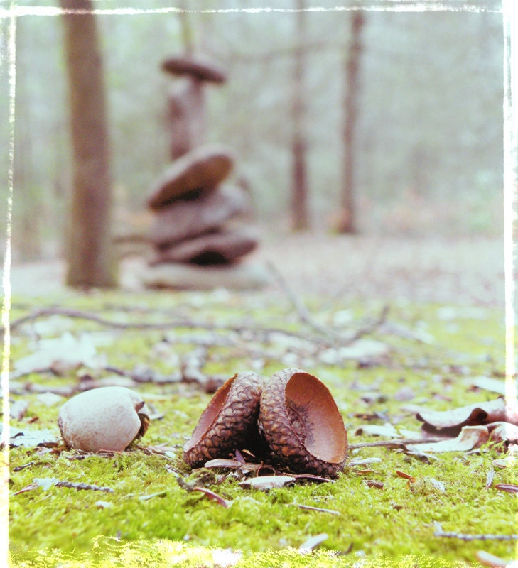 Gather Balance - Fine Art Photograph - 5 foot wall print