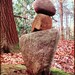 Rock the Forest - Fine Art Photograph - 5 foot wall print