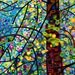 Abstract Fine Art Print Forest Blue Green Pine Sprites