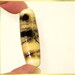 Lampwork Handmade Glass Bead in Dark Ivory and Black - Focal Art Bead - SRA - Senergy $7.49