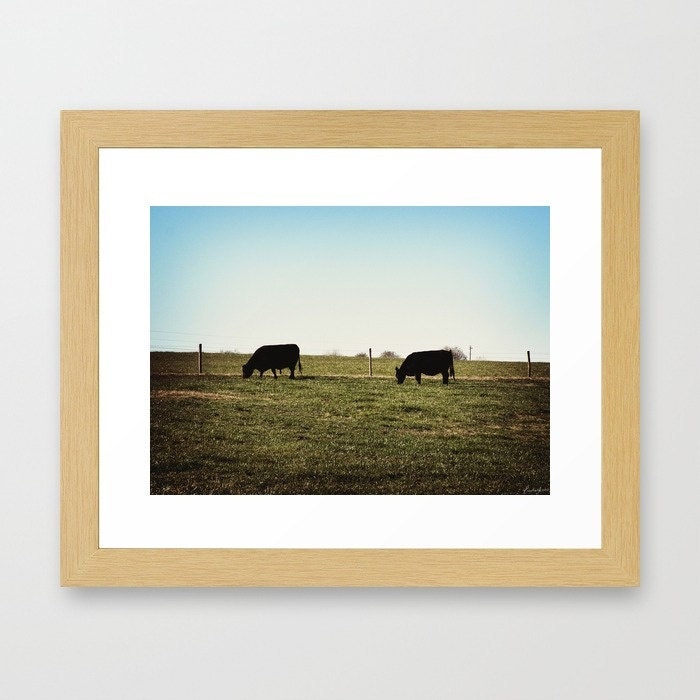 Grass Fed - Fine Art Photography Print - Framed 12 x 10