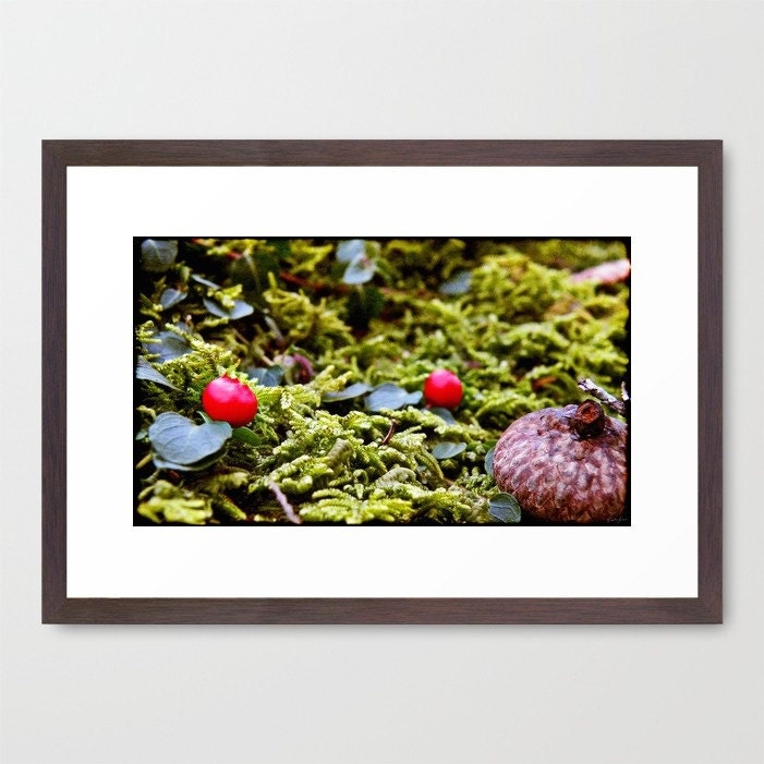 Tiny Forest - Fine Art Photography Print - Framed 21 x 15