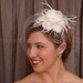 Birdcage Veil Set, Swarovski Rhinestone Wedge Bridal Veil, Feather Flower Fascinator Hannah, Wedding Veil Set