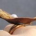 Copper freeform ring with gold leaves and pearl