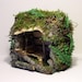 Fairy House Woodland Ferns Custom Fairy Twig Furniture