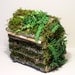 Fairy House Woodland Ferns Custom Fairy Twig Furniture