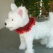 Paws & Plaid Dog Scrunchie Necklace with red lace - M