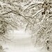 Large Print Sale 30% OFF Winter photograph, snow path, snow, home decor, Fine Art Photograph