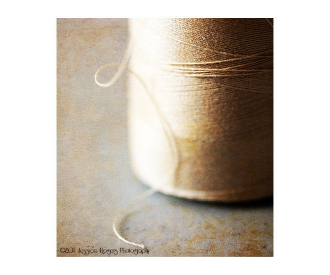 By A Thread, 5x6 Color Photograph