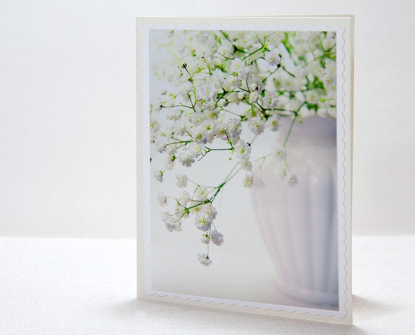 Baby breath white blank greeting note photography card close up flowers green  light background matched ivory envelope, rusteam, tbteam, oht