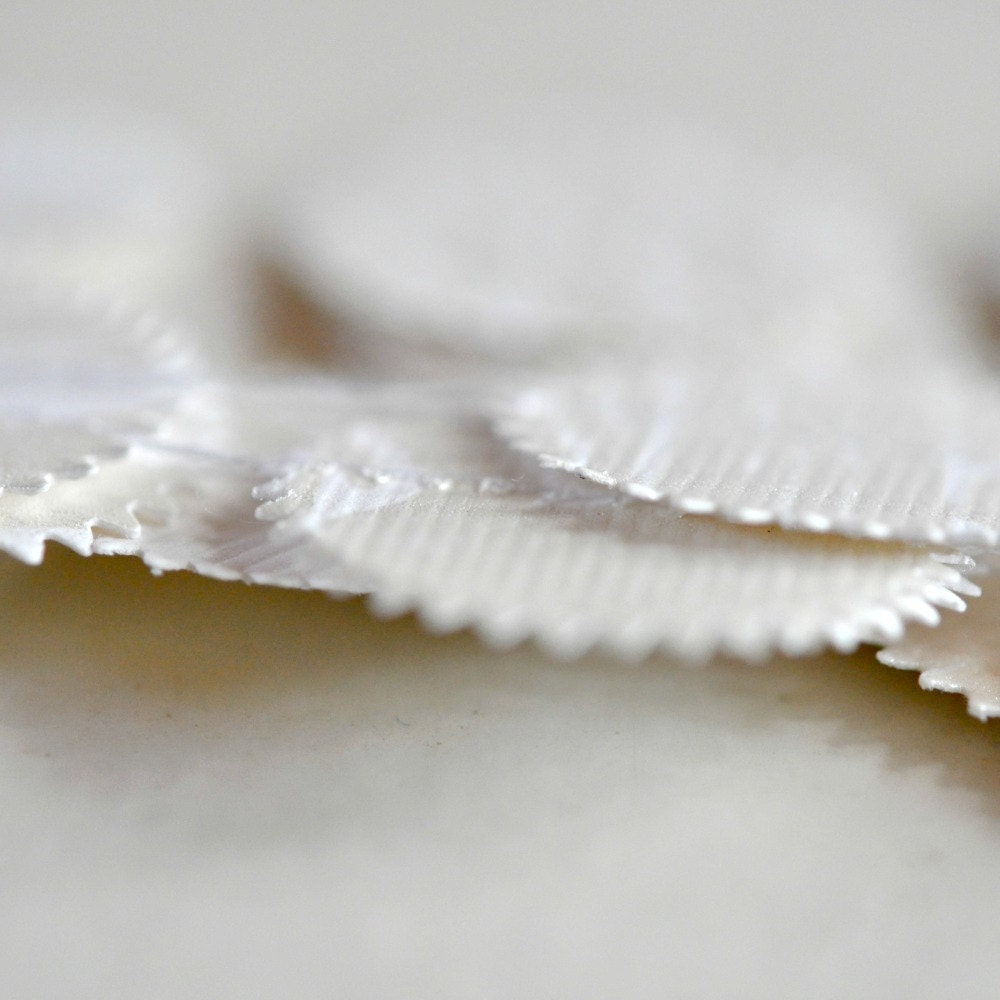 Metallic White Screenprint Paper Garland