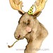 Celebration Moose Greeting Card