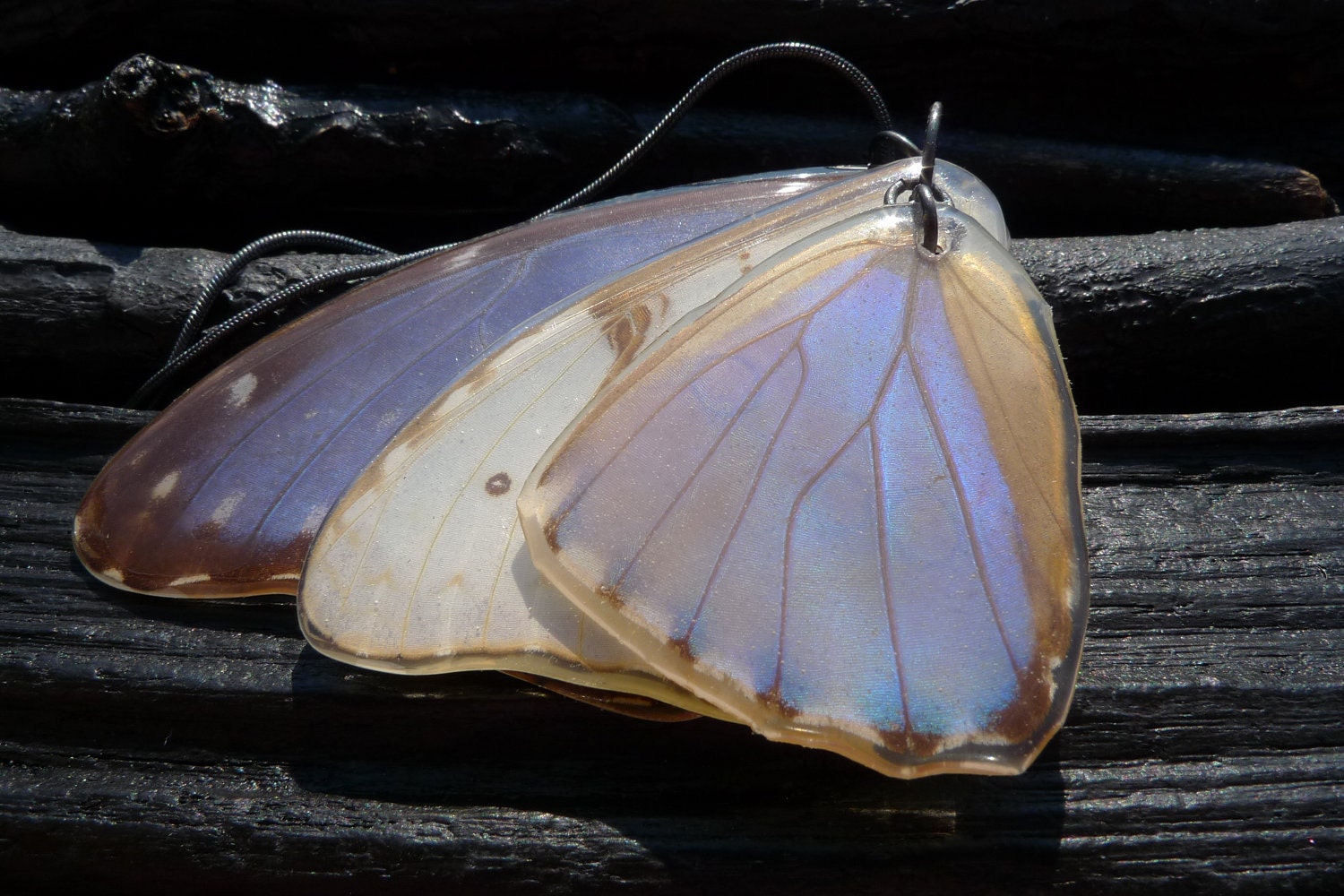 ON SALE real Butterfly Wing Necklace by Beijo Flor by BeijoFlor