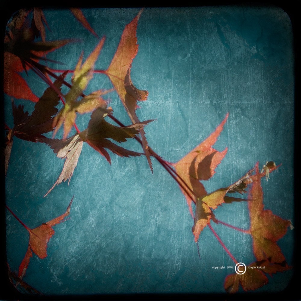 Blue Autumn Photograph--Fall Leaves Cascade--5x5 TTV Fine Art