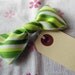 Wintergreen Clo Bow