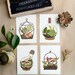 Terrarium Postcard SET 4pcs