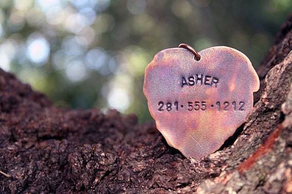Pet I.D. Tag - Ash Leaf