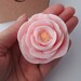 Valentine Soap-Lovely Pale Pink Rose-Single Rose Soap-Goat's Milk Soap-Rose and Violet Scented