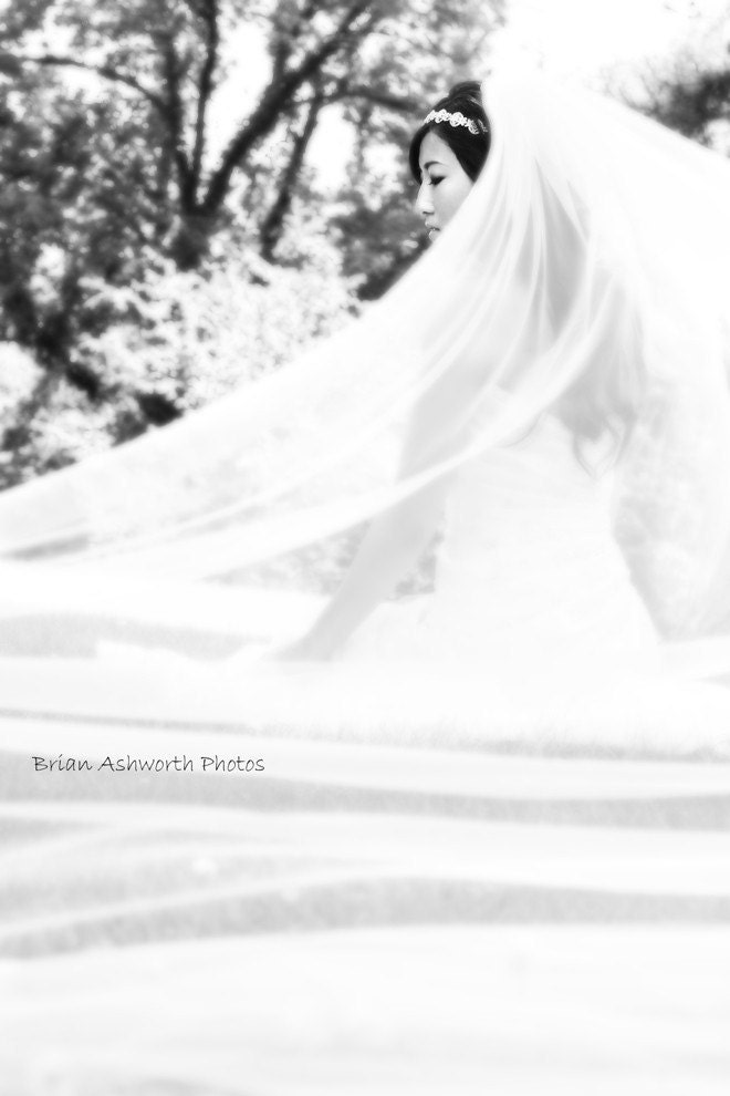 Classic Cathedral Length Veil
