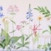 Original Watercolor Painting Illustration of Woodland Flowers