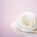 Flower - Adjustable Ring - Handmade by oenopia